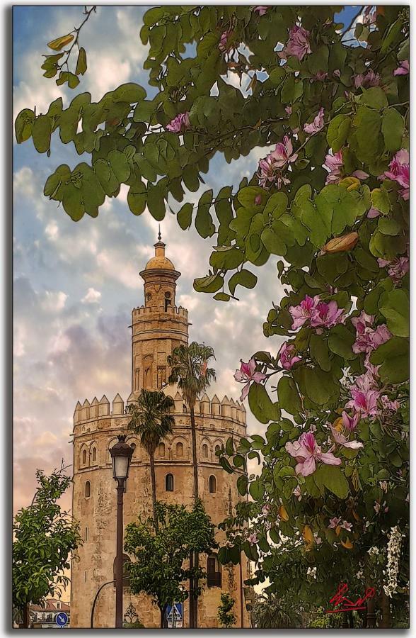 세비야 Rincon De Nati Triana 아파트 외부 사진